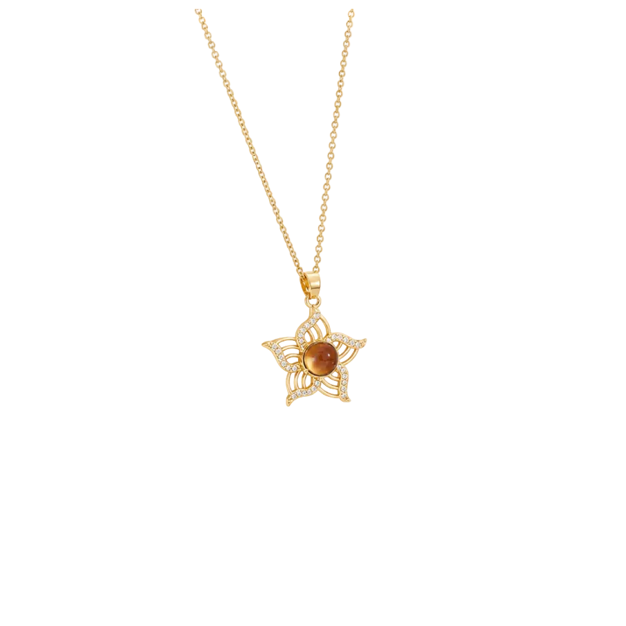 Stellara Tiger‑Eye Star‑Blossom Talisman Necklace